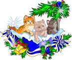 3 Cats At Christmas Smiley Face, Emoticon