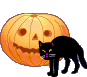 Cat And Pumpkin Smiley Face, Emoticon