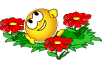 Smiley And 3 Red Flowers Smiley Face, Emoticon