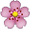 Pink And Yellow Flower Smiley Face, Emoticon