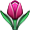 Purple Tulip At Bloom Smiley Face, Emoticon