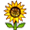 Lively Yellow Sunflower Smiley Face, Emoticon