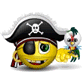 Pirate And Bird Smiley Face, Emoticon