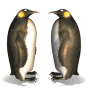 The 2 Penguins Smiley Face, Emoticon