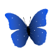 The Blue Butterfly Smiley Face, Emoticon