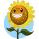 The Happy Sunflower Smiley Face, Emoticon