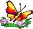 Colorful Happy Butterfly Smiley