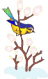 Bird Chirping On Tree Branch  Smiley