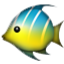 Blue And Yellow Fish Smiley