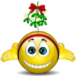 The Christmas Decor Smiley