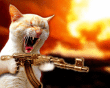 The Shooting Cat Smiley